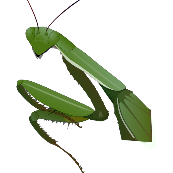 SVG Praying mantis image