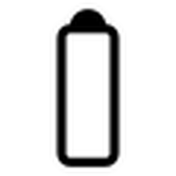 SVG primary laptop nocharge
