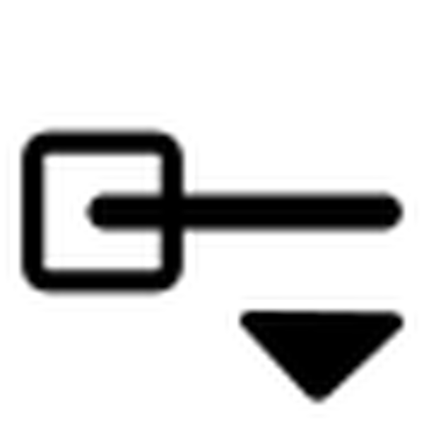 SVG primary line begin