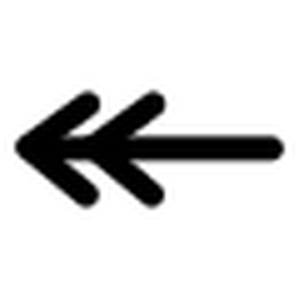 SVG primary line double line arrow begin