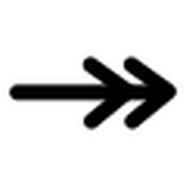 SVG primary line double line arrow end