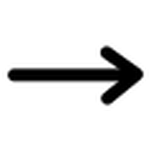 SVG primary line line arrow end