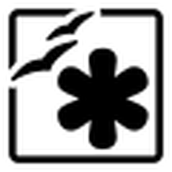 SVG primary ooo template