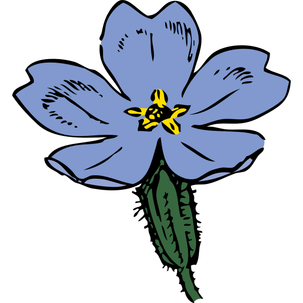 SVG primrose