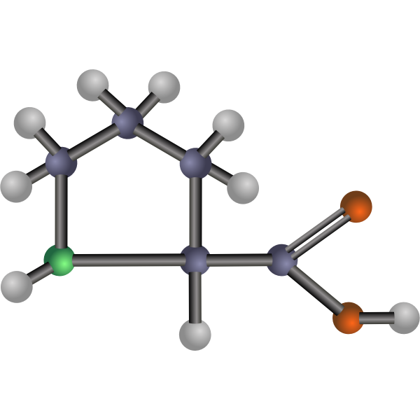 SVG Proline amino acid