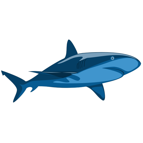SVG Pure shark image
