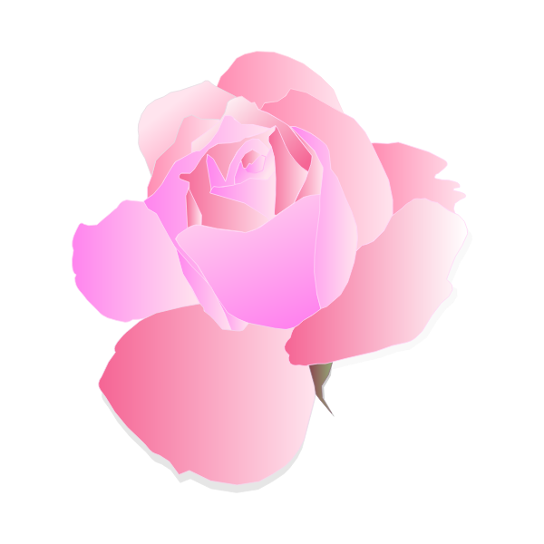 SVG Purple and pink rose