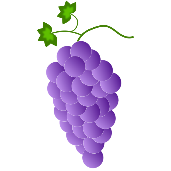 SVG Purple grapes