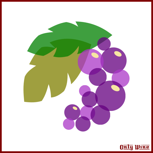 SVG Purple grapes image