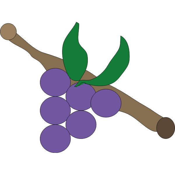 SVG Purple grapes vector drawing