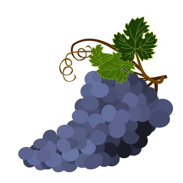 SVG Purple Grapes vector image