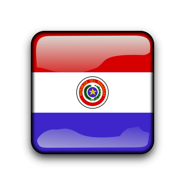 SVG py