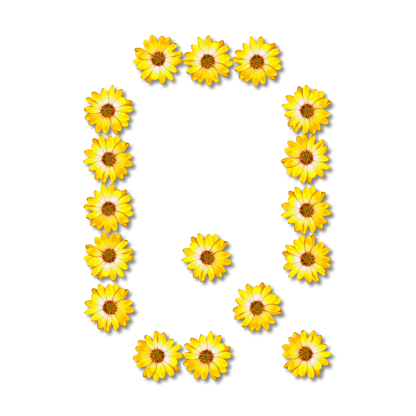 SVG Q made of sunflowers