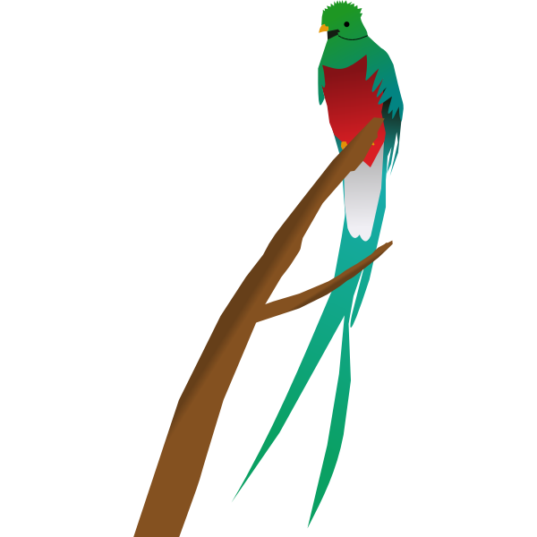 SVG Quetzal