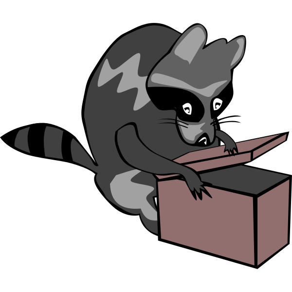 SVG Raccoon opening box vector illustration in color
