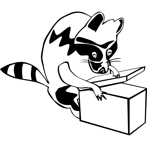 SVG Raccoon opening box vector image