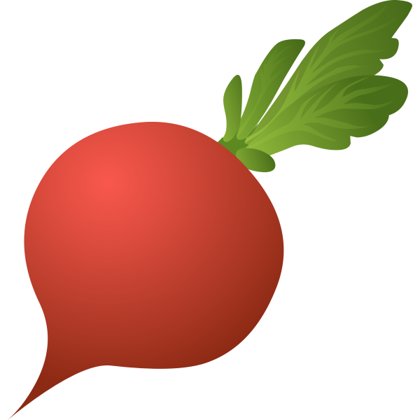 SVG Radish image