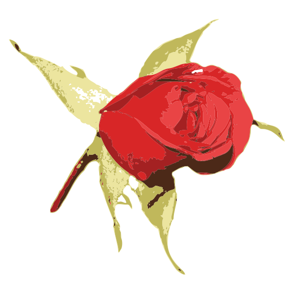 SVG raseone rose red