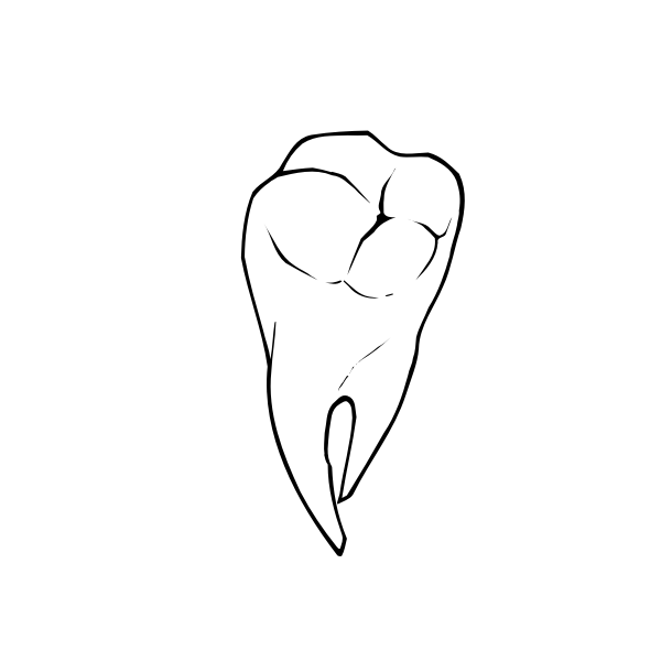 SVG Raseone tooth