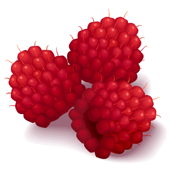 SVG Raspberries vector illustration