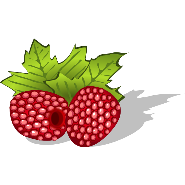 SVG Raspberries vector image
