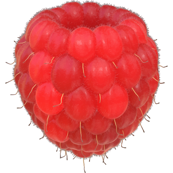 SVG Raspberry image