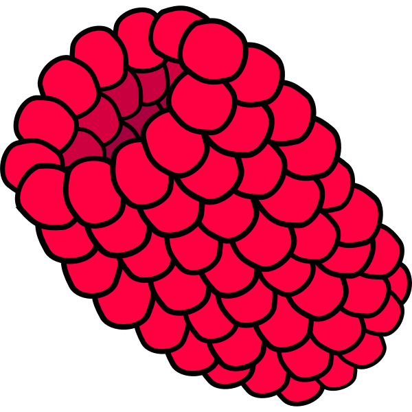 SVG Raspberry vector image