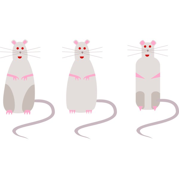 SVG rat