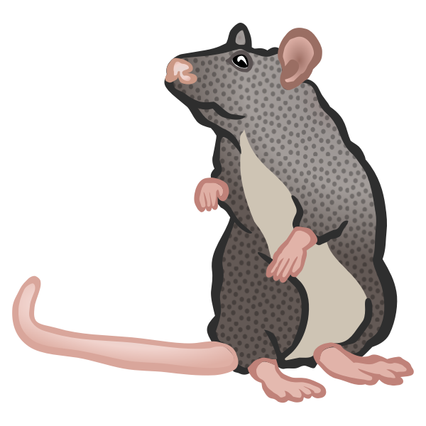 SVG Rat