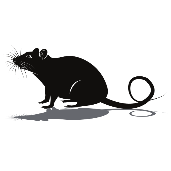 SVG Rat silhouette clip art