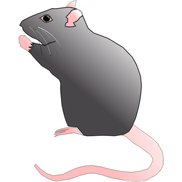 SVG Rat sitting up