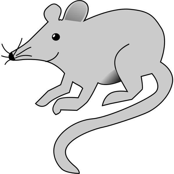 SVG Rat vector image