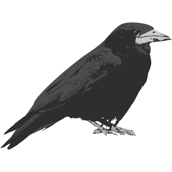 SVG Raven bird vector clip art