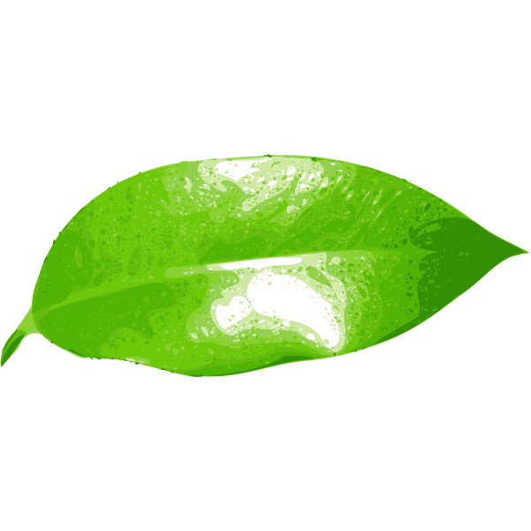 SVG Realistic green leaf