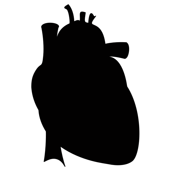 SVG Realistic heart silhouette