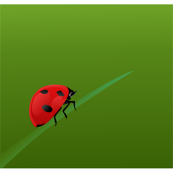 SVG Realistic ladybug
