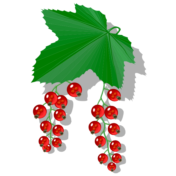 SVG Red berries image