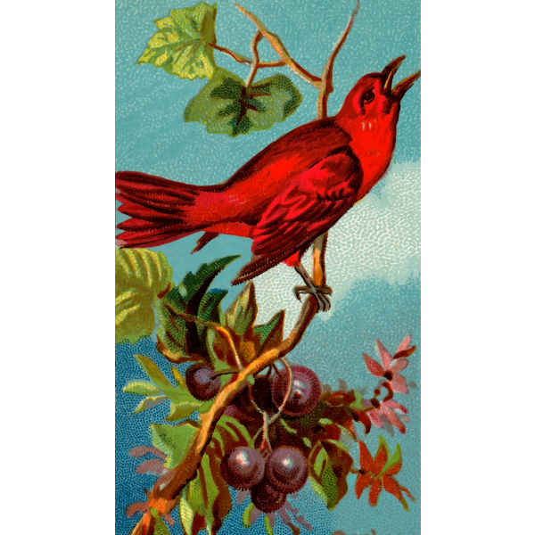 SVG Red bird