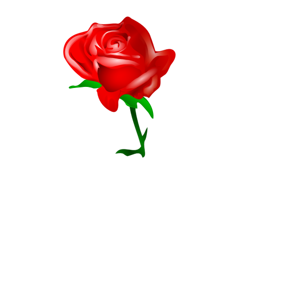 SVG Red blossomed rose