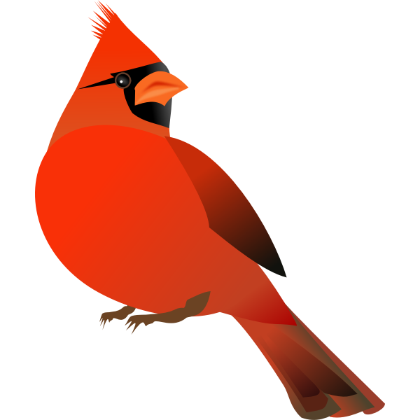 SVG Red cardinal