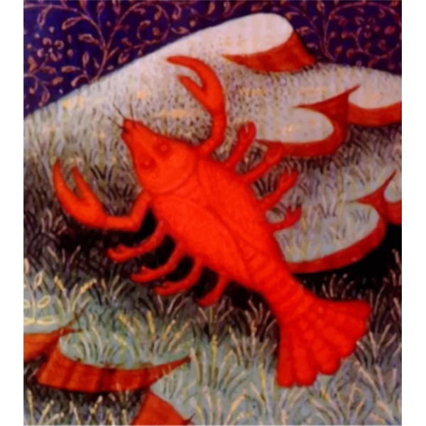 SVG Red crab drawing