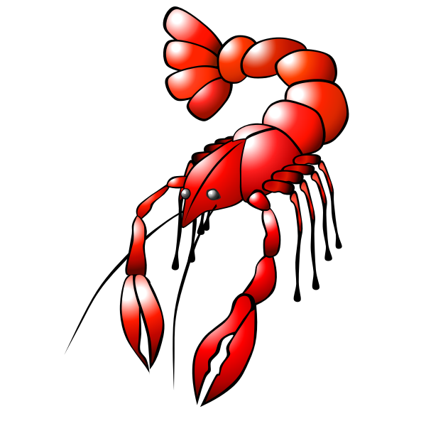 SVG Red crawfish vector graphics