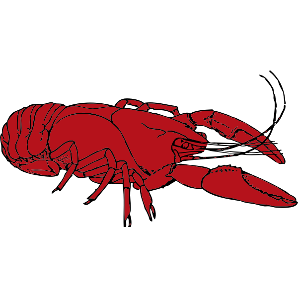 SVG Red crayfish vector clip art