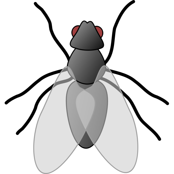 SVG Red-eyed fly