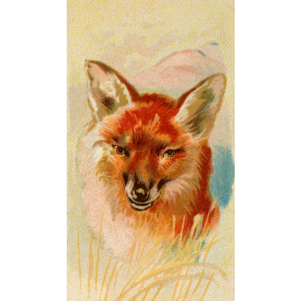 SVG Red fox