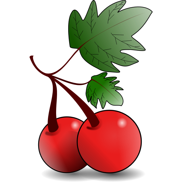 SVG Red fruit vector graphics