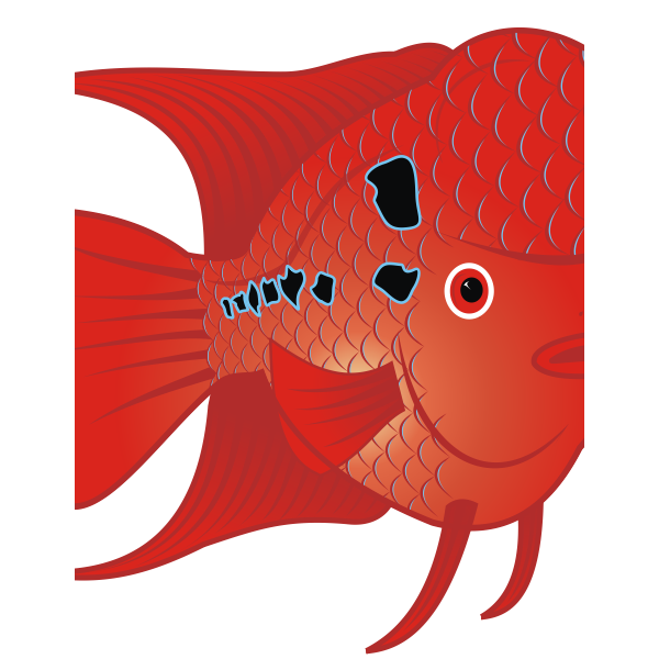 SVG Red goldfish
