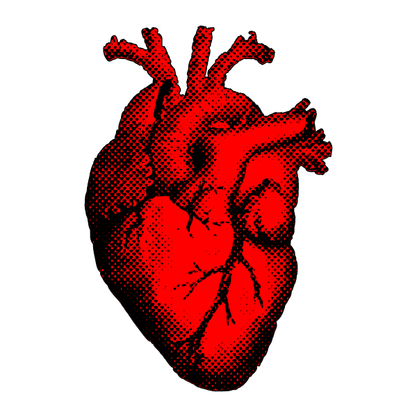 SVG Red heart vector symbol