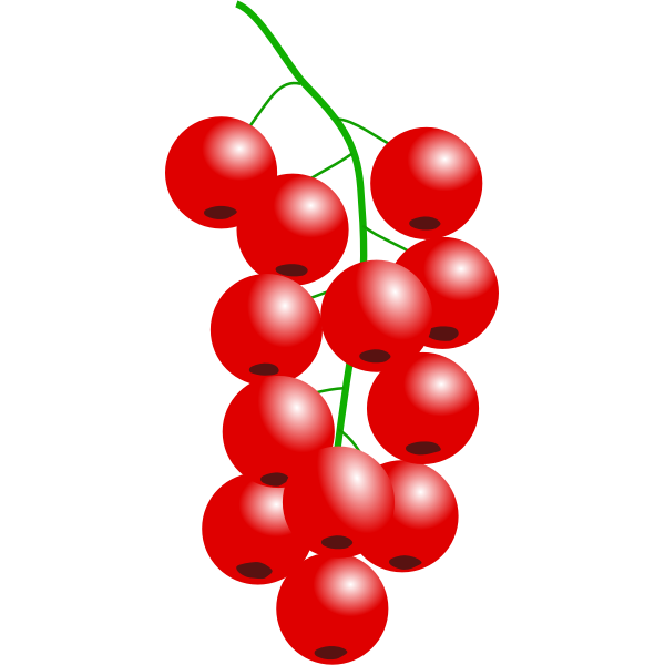 SVG redcurrant