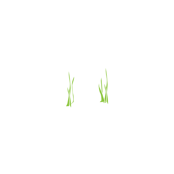 SVG Reeds